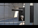 youtube - [Video]