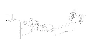 MKLH338.webp