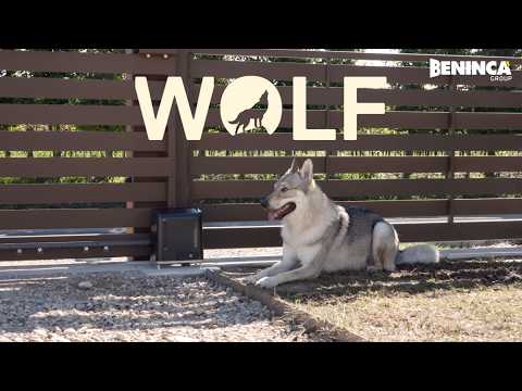 youtube - [Video]