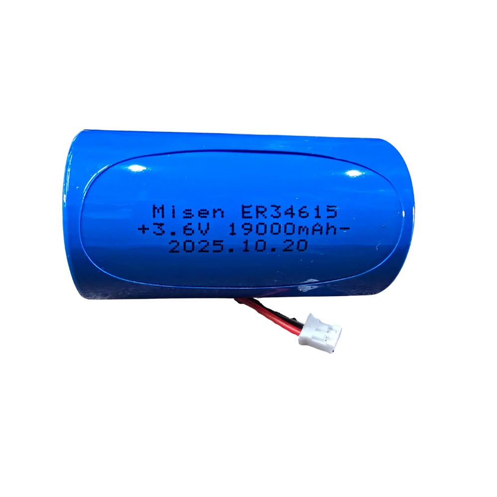 Replacement Battery for In-Ground E-Loop