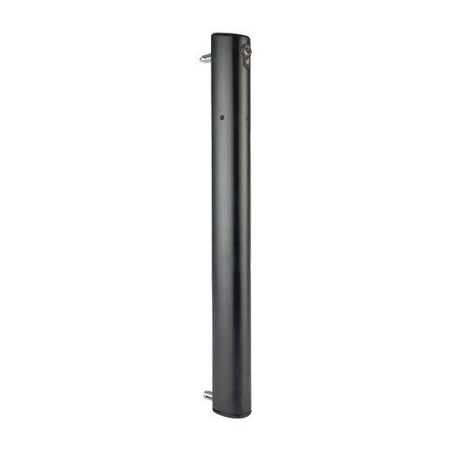 [DB790] Locinox ELECTRADROP Motorised Electrical Drop Bolt - Black