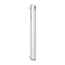 Locinox ELECTRADROP Motorised Electrical Drop Bolt : Silver
