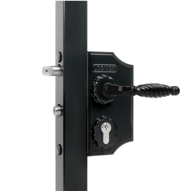 Locinox LAKY F2 Small Ornamental Lock F2 Flat profile adjustable 10-20mm - Silver